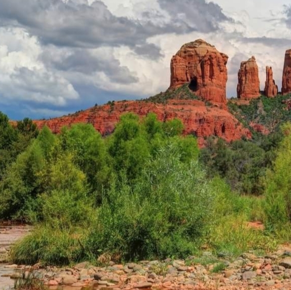 Meet your Posher, Lynnette - Picture 6 of 16